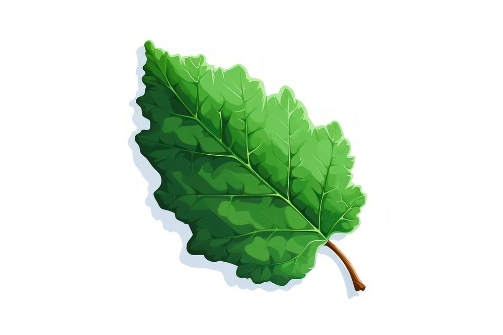 A leaf plant tree white background. AI generated Image by rawpixel.