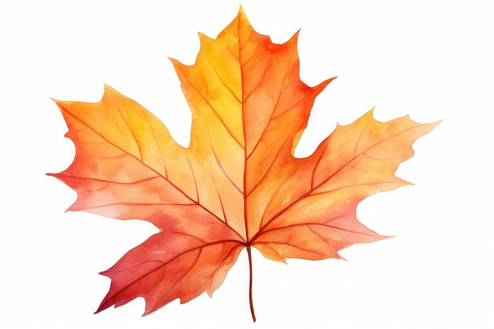 Autumn Leave autumn leaves maple. AI generated Image by rawpixel.