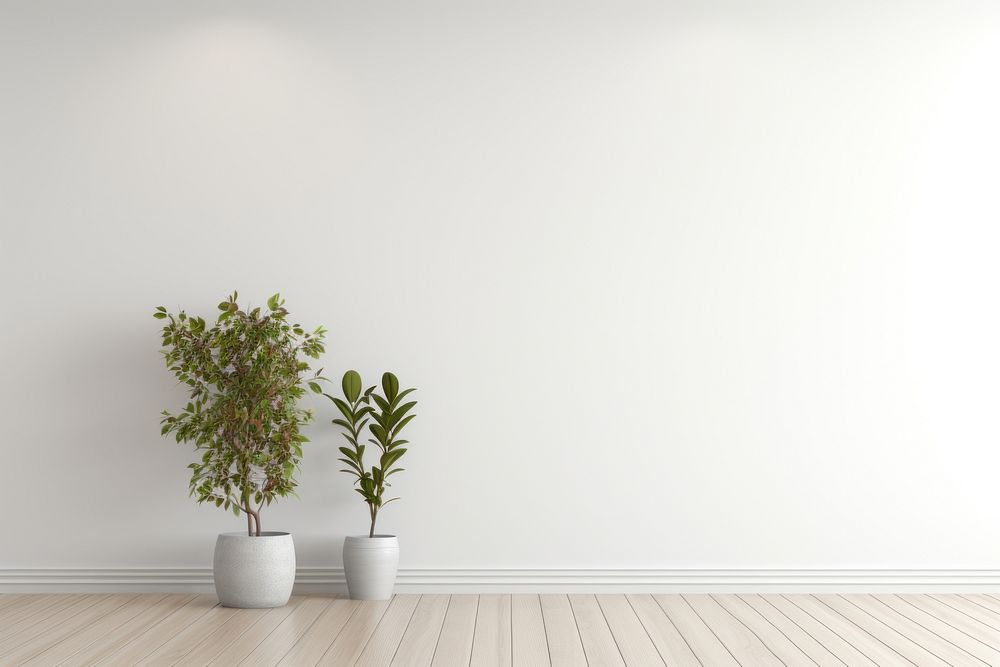White Empty Room plant wall architecture. AI generated Image by rawpixel.