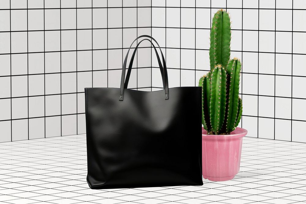 Handbag & cactus on grid backdrop