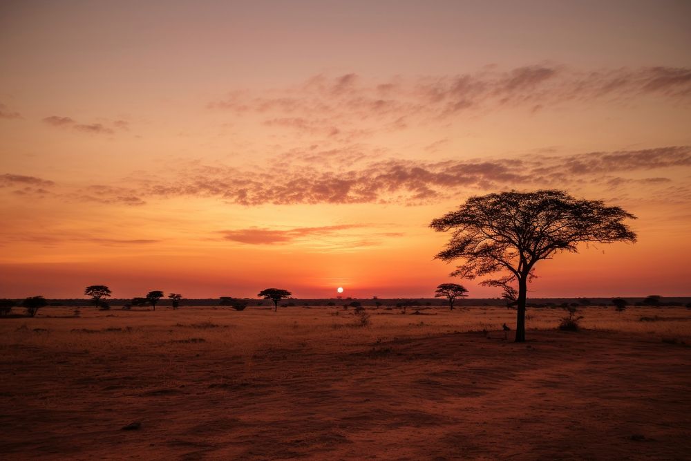 Africa landscape outdoors horizon. AI generated Image by rawpixel.