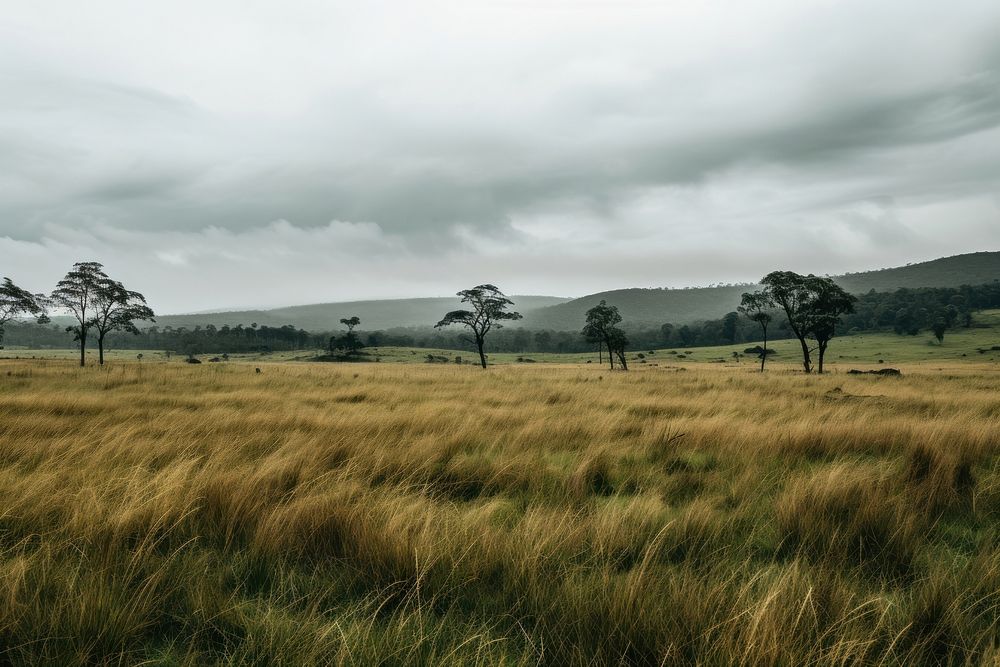 Grass field landscape grassland overcast. AI generated Image by rawpixel.