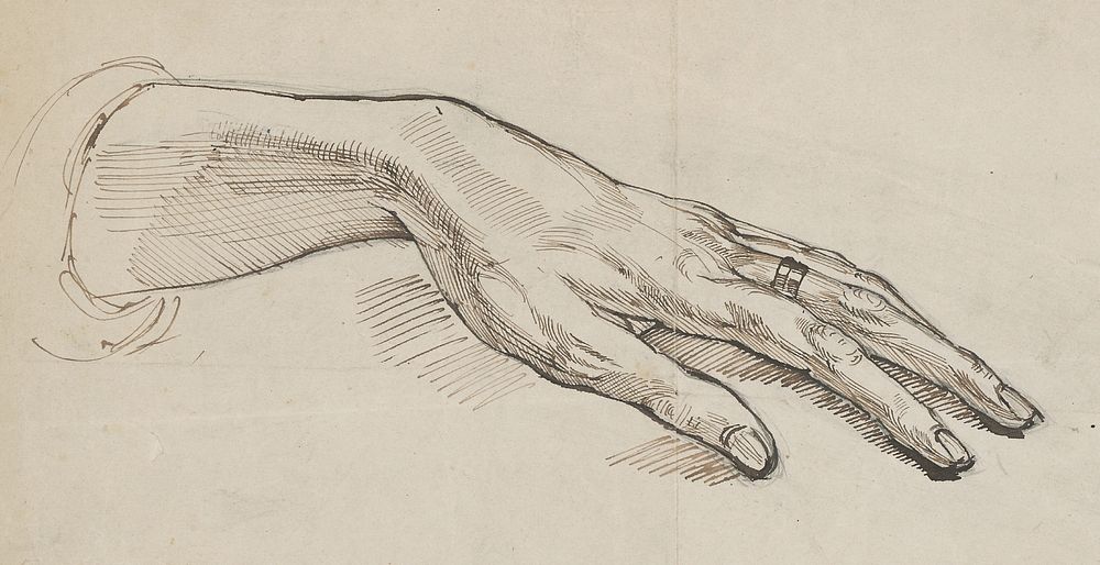 Study of the hand