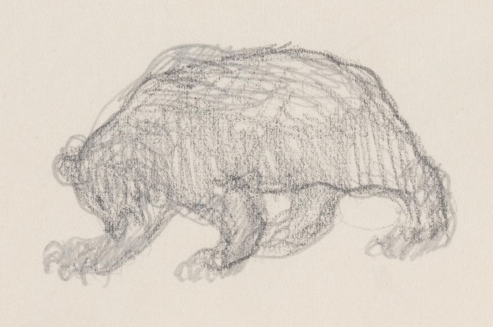 Sketchbook 6 bear by Arnold Peter Weisz Kubínčan