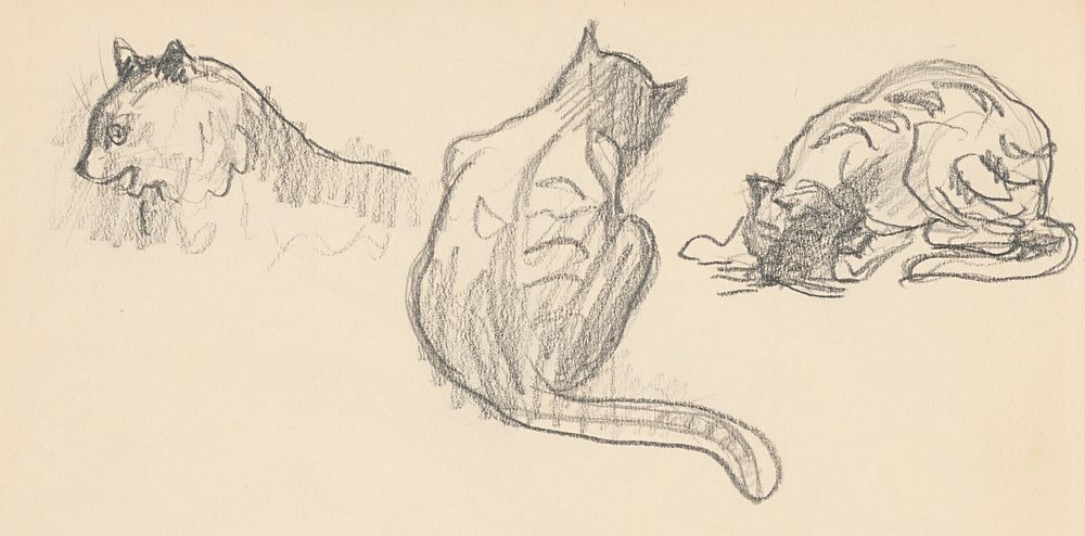 Sketchbook 19 sketches of cats by Arnold Peter Weisz Kubínčan