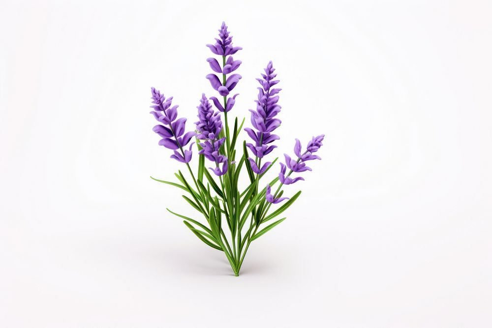 Lavender blossom flower purple. AI generated Image by rawpixel.