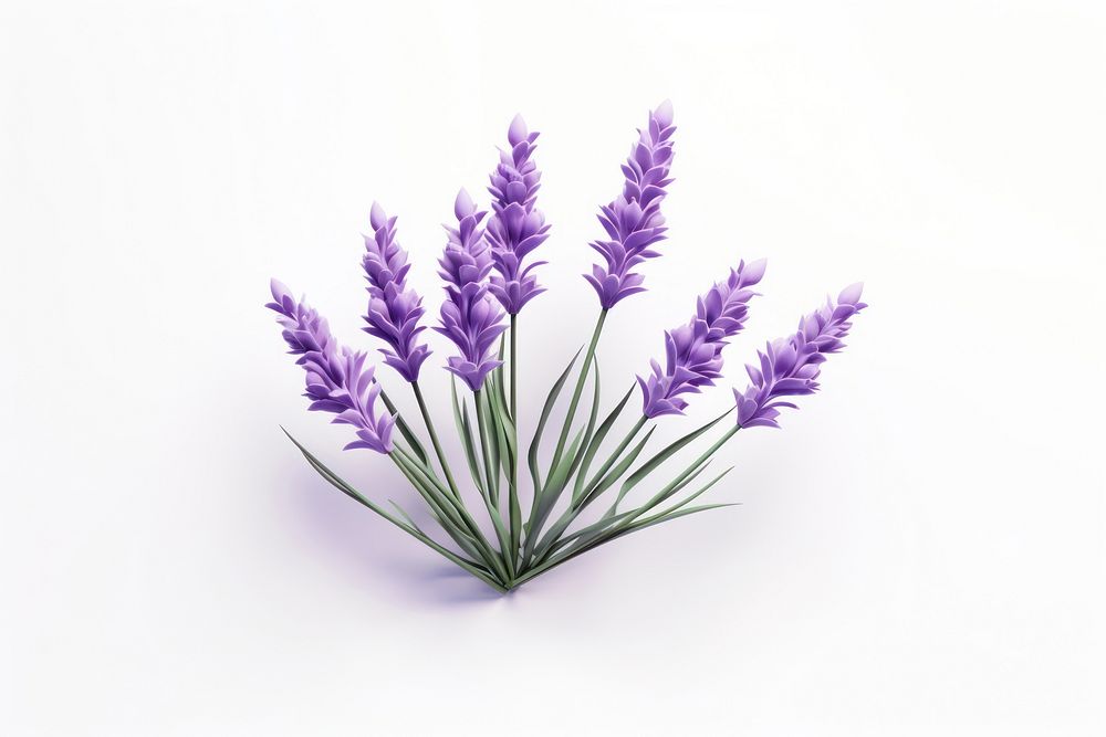 Lavender blossom flower plant. AI generated Image by rawpixel.