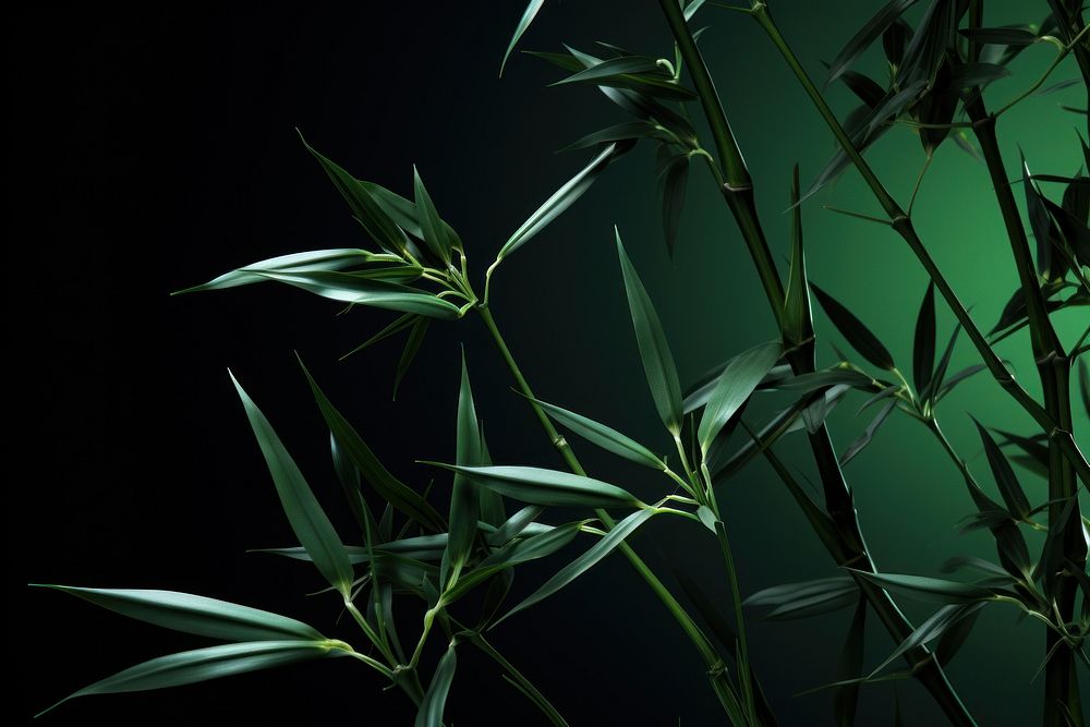 Bamboo leaves close-up photo. AI generated image by rawpixel.