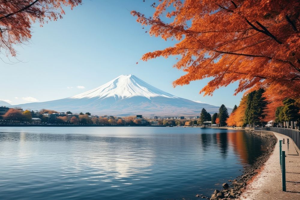 Fuji mountain autumn outdoors nature. 