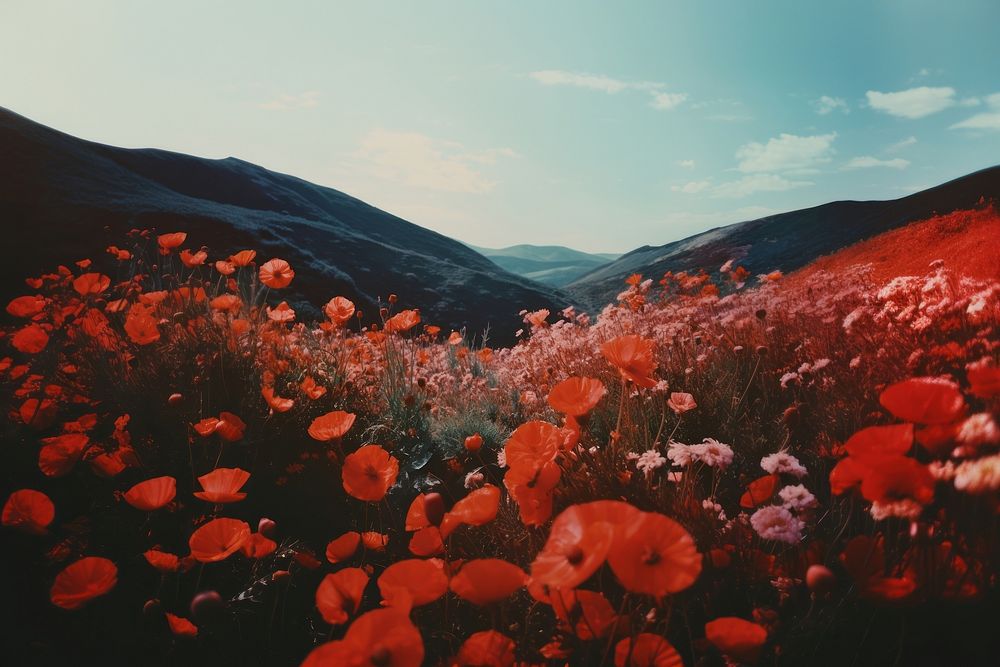 Flowers landscape nature outdoors. AI generated Image by rawpixel.