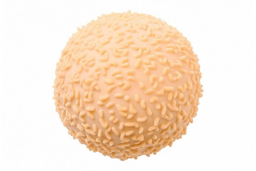 Cell food white background cantaloupe. AI generated Image by rawpixel.
