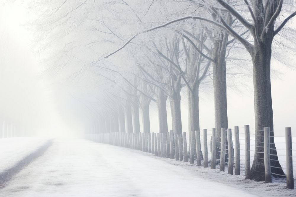 Misty wallpapers backgrounds outdoors winter. AI generated Image by rawpixel.