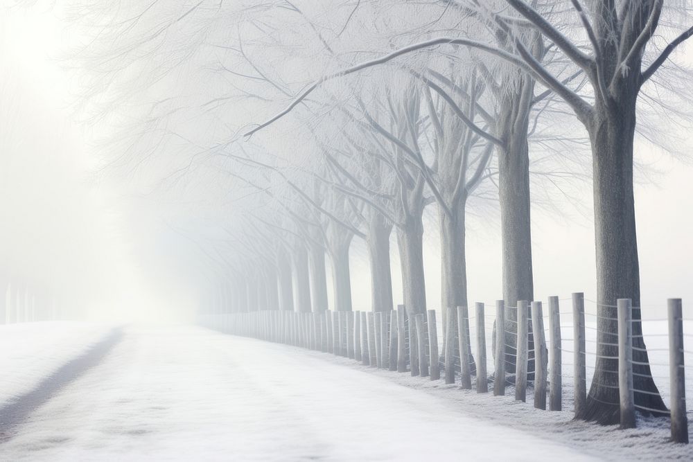 Misty wallpapers  outdoors winter. 