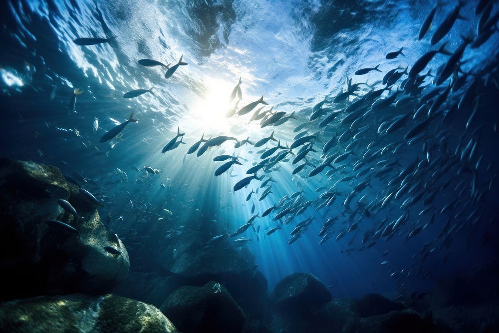 Ocean sea underwater outdoors. AI generated Image by rawpixel.