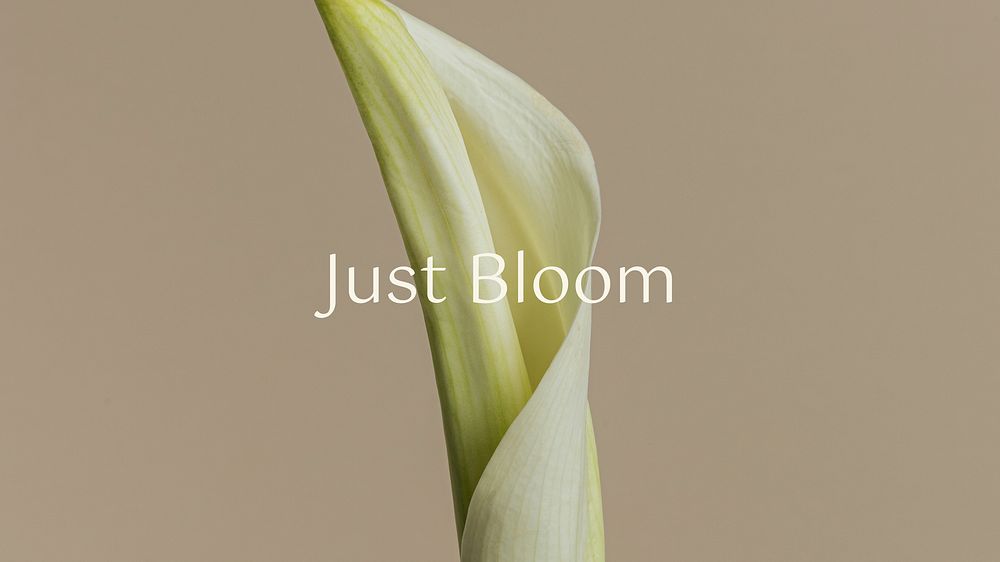 Bloom, positivity quote  blog banner template