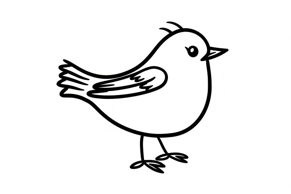 Bird drawing sketch animal. AI generated Image by rawpixel.