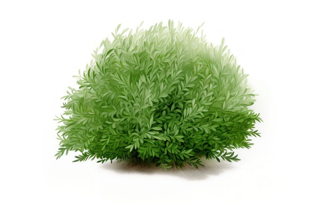 Bush plant grass herbs. AI generated Image by rawpixel.