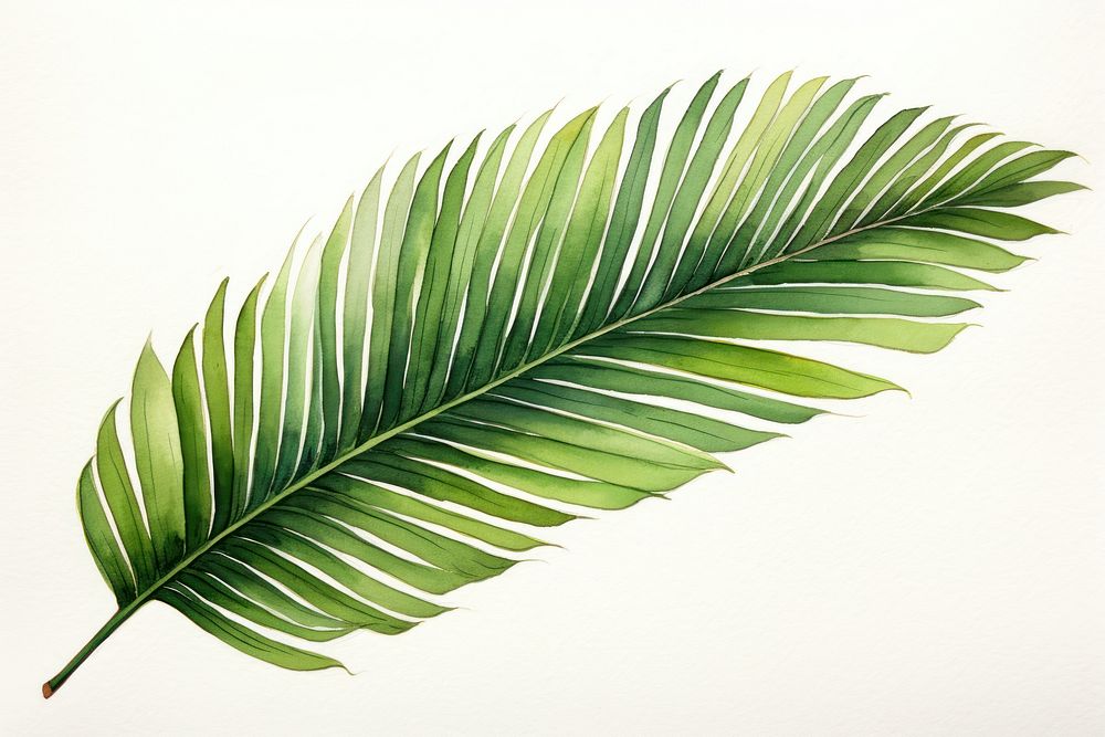 Palm leaf sketch plant tree. AI generated Image by rawpixel.
