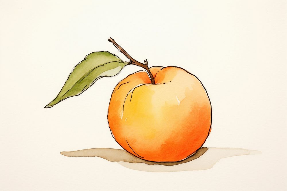 Peach sketch fruit plant. AI generated Image by rawpixel.