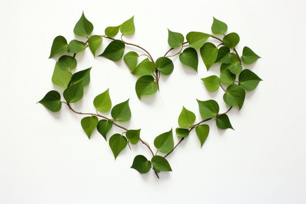 Heart shape grenn leaves branch plant leaf. AI generated Image by rawpixel.