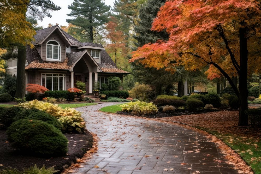 Driveway autumn architecture outdoors. AI generated Image by rawpixel.