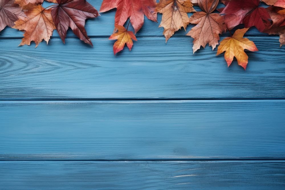 Autumn backgrounds leaves plant. AI generated Image by rawpixel.