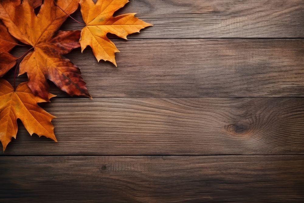 Autumn wood leaf leaves. AI generated Image by rawpixel.