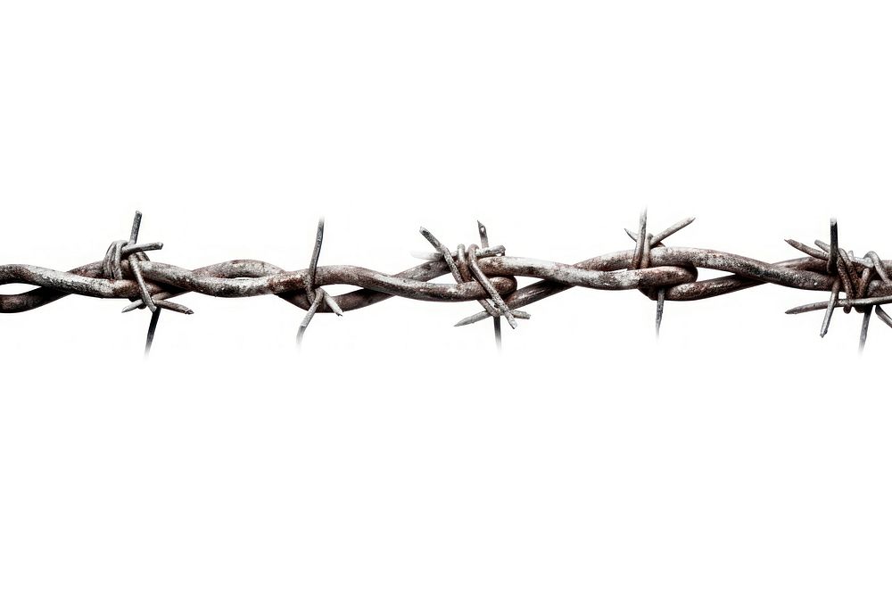 Barbed wire white background forbidden reptile. AI generated Image by rawpixel.