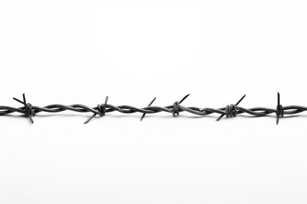 Barbed wire white background forbidden weaponry. AI generated Image by rawpixel.