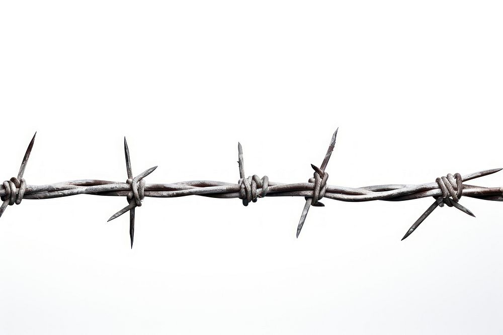 Barbed wire white background forbidden security. AI generated Image by rawpixel.