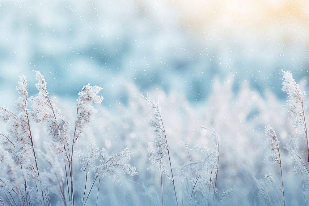 Background winter frost snow. AI generated Image by rawpixel.