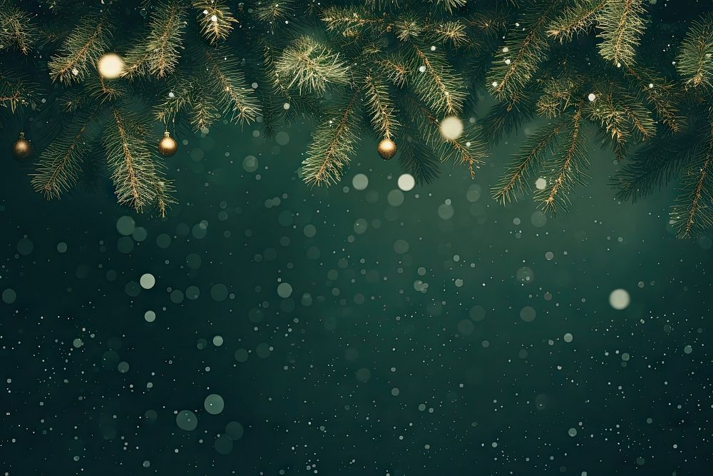 Christmas tree background christmas backgrounds outdoors