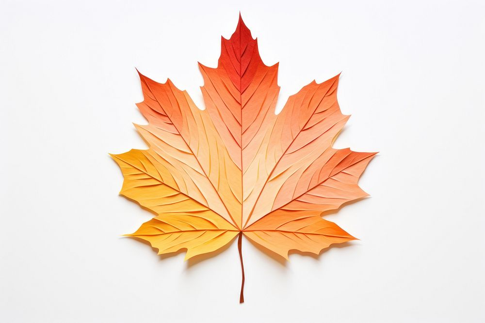 Fall leaf maple plant tree. AI generated Image by rawpixel.