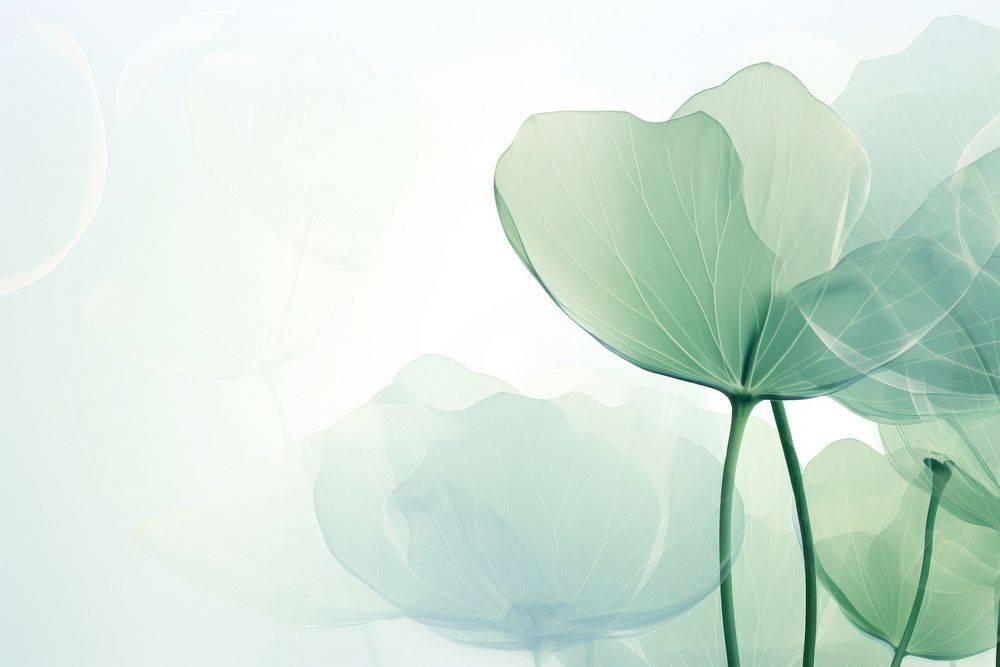 Lotus plant leaf backgrounds. AI generated Image by rawpixel.