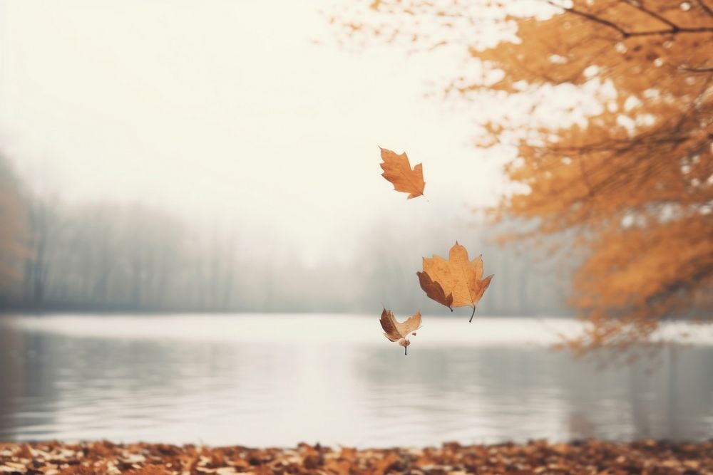 Autumn autumn outdoors nature. AI generated Image by rawpixel.