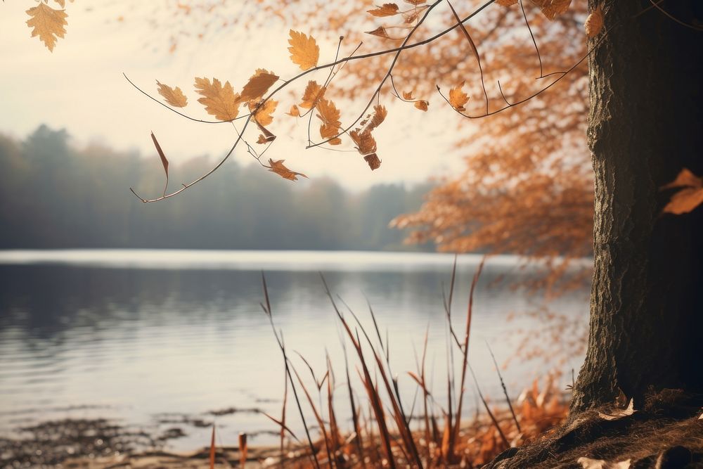 Autumn landscape autumn outdoors. AI generated Image by rawpixel.