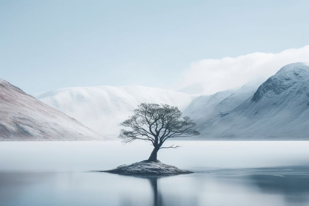 Mountain tree landscape outdoors. AI generated Image by rawpixel.