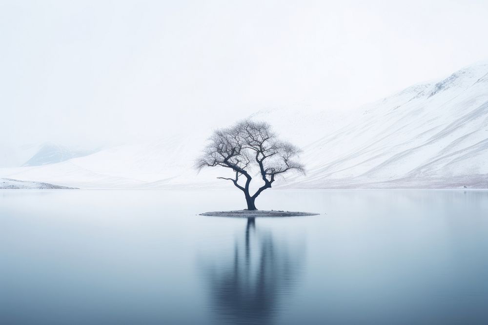Mountain tree landscape outdoors. AI generated Image by rawpixel.