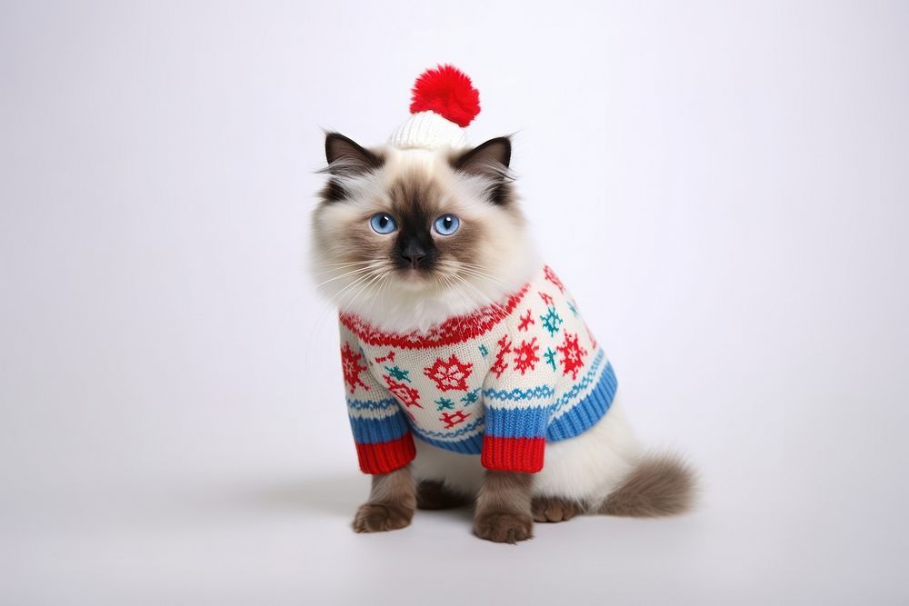 Christmas sweater mammal animal. AI generated Image by rawpixel.