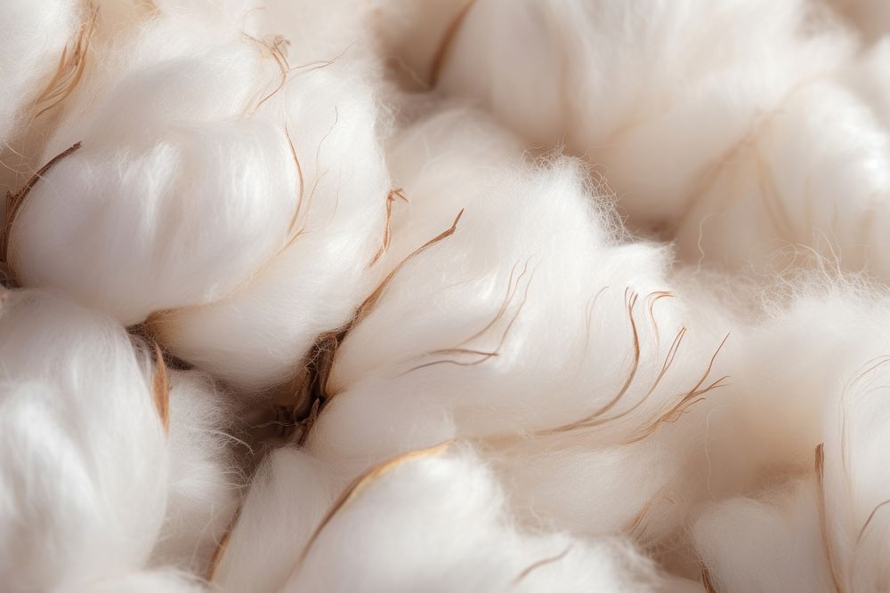 Cotton texture cotton backgrounds full frame. AI generated Image by rawpixel.