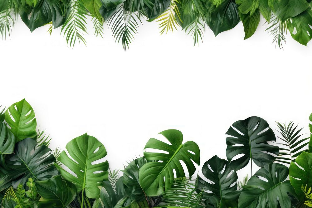 Tropical forest nature plant green. AI generated Image by rawpixel.