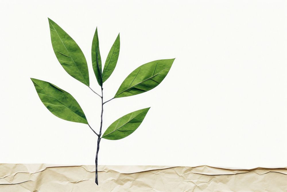 Green plant paper leaf tree. AI generated Image by rawpixel.