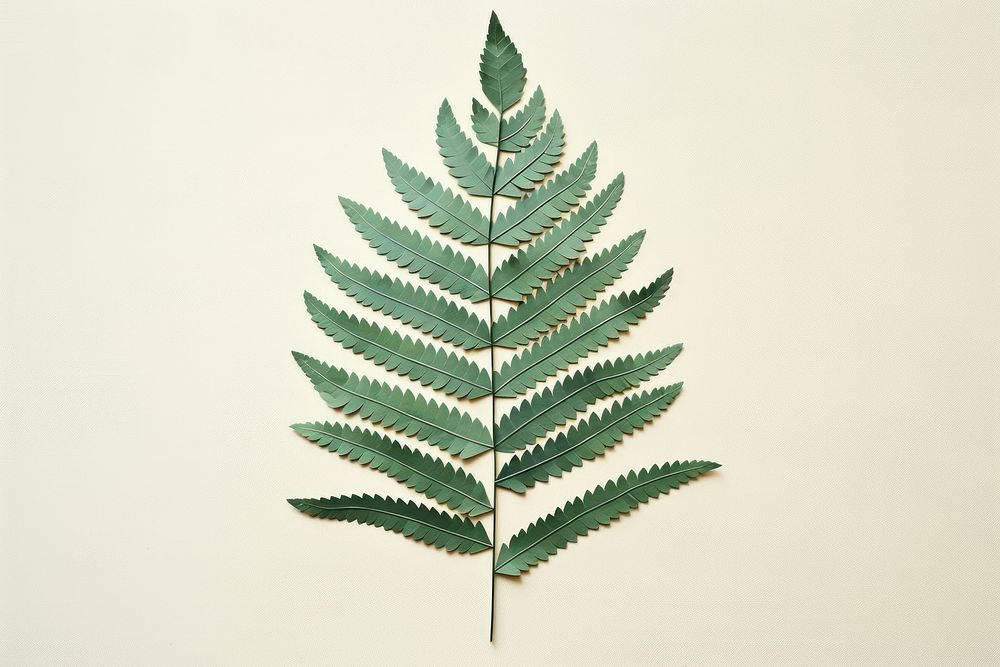Fern leaf plant pattern nature. AI generated Image by rawpixel.