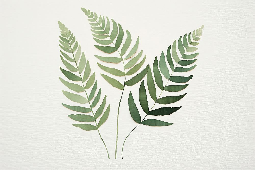 Fern leaf plant pattern drawing. AI generated Image by rawpixel.