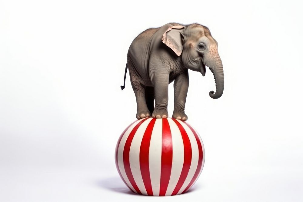 Elephant ball mammal animal. AI Free Photo rawpixel