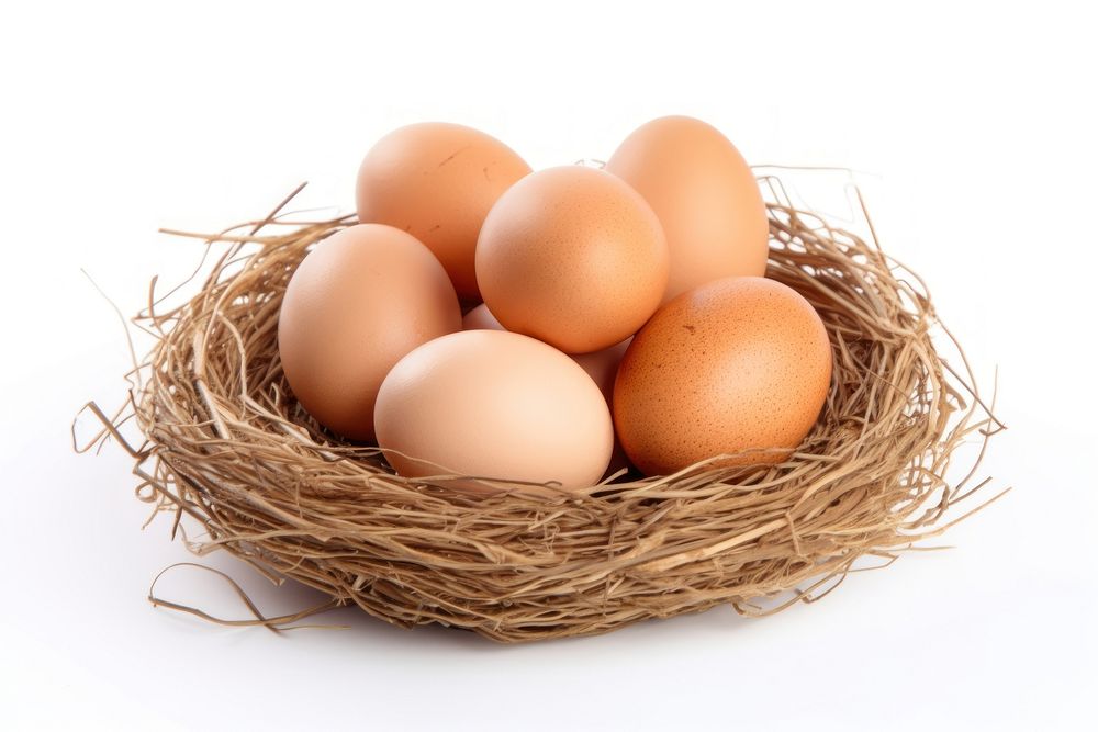 Egg food nest white background. 