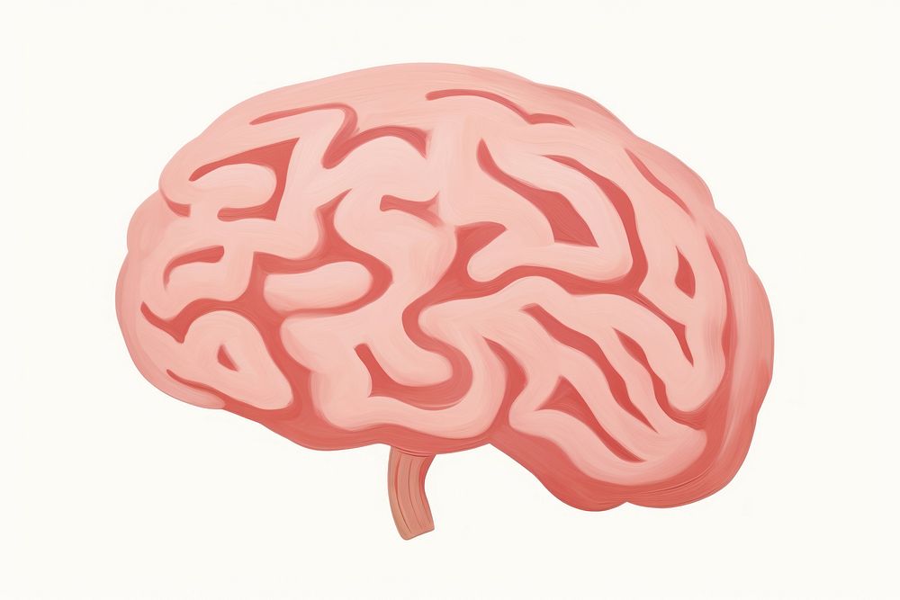 Human brain illustration. AI generated Image by rawpixel.
