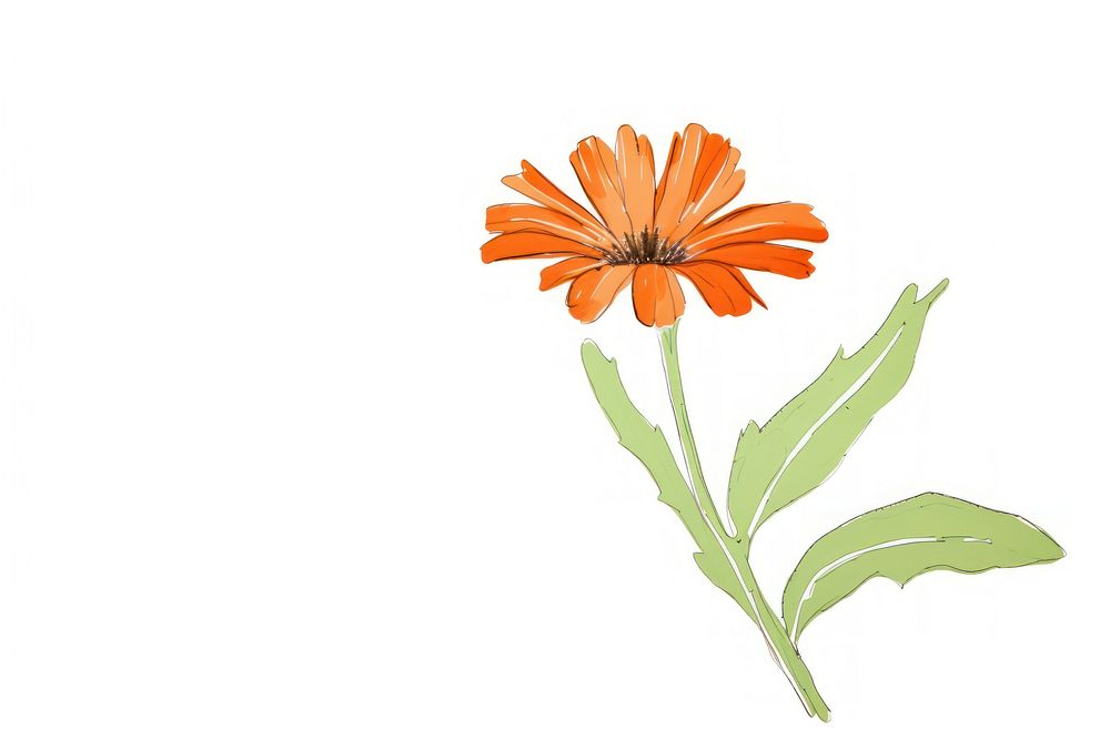 Flower looking plant adult flower petal daisy. AI generated Image by rawpixel.