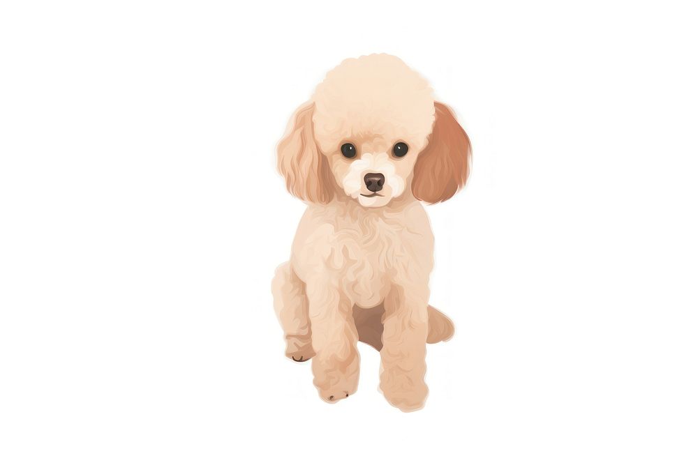Toy poodle animal mammal puppy. AI generated Image by rawpixel.