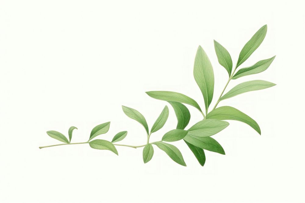 Leaf branch. AI generated Image by rawpixel.